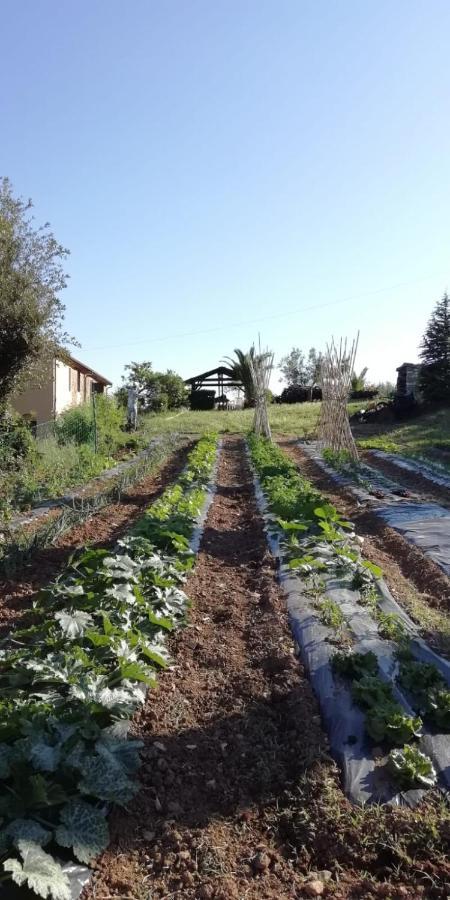 Podere Baloo Суверето Экстерьер фото